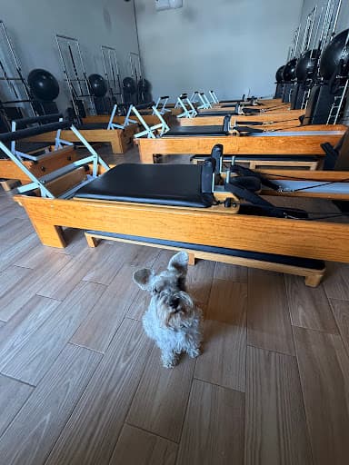 komanma Refugio — Pilates en Querétaro