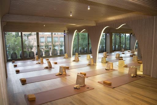 ALIGN WELLNESS STUDIO — Pilates en Lomas de Chapultepec, Miguel Hidalgo